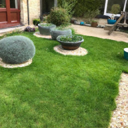 Techniques de taille pour maintenir un jardin esthétique et en bonne santé Six-Fours-les-Plages